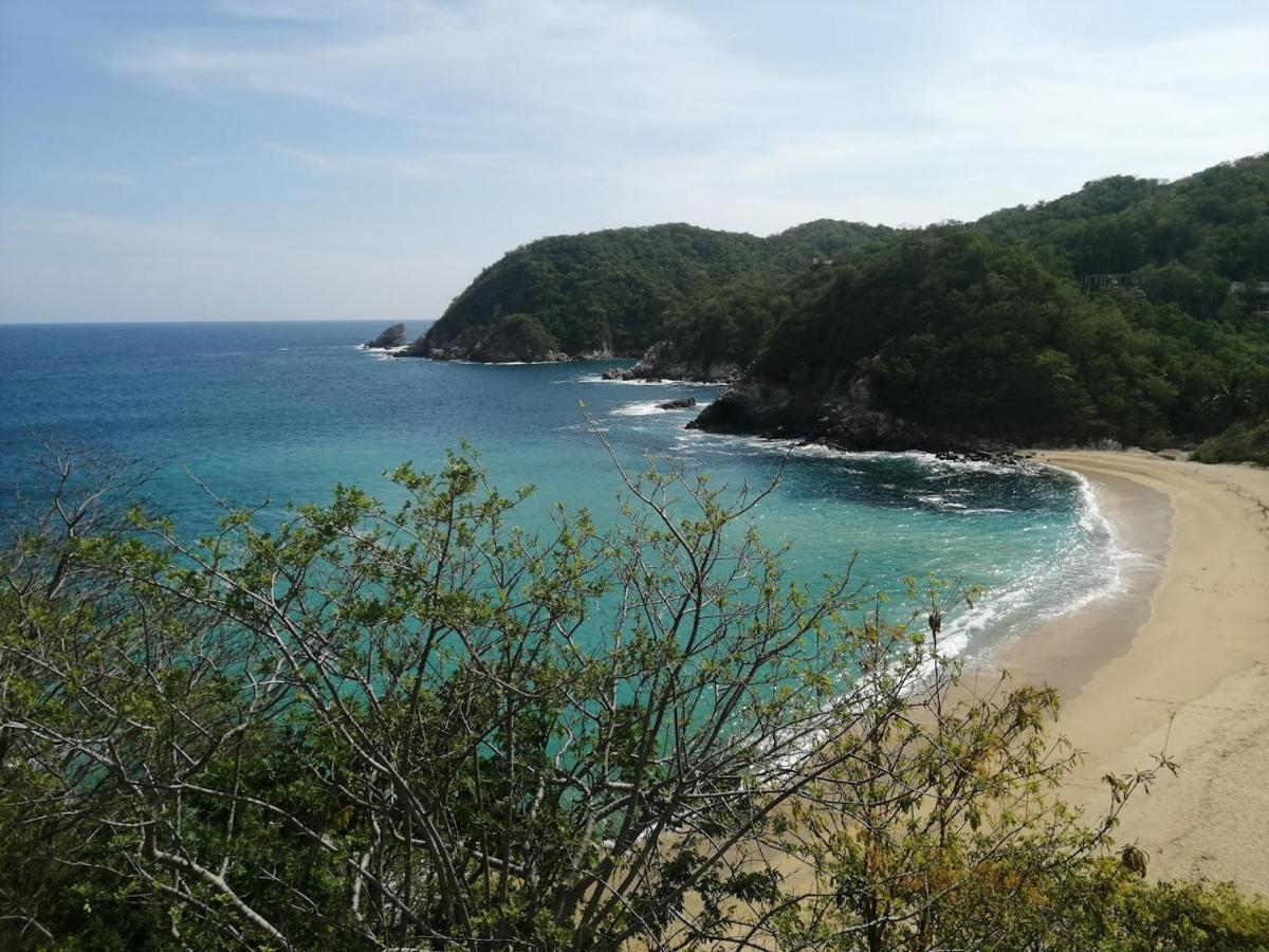 Отель Casa Luna Playa Пуэрто-Анхель Экстерьер фото
