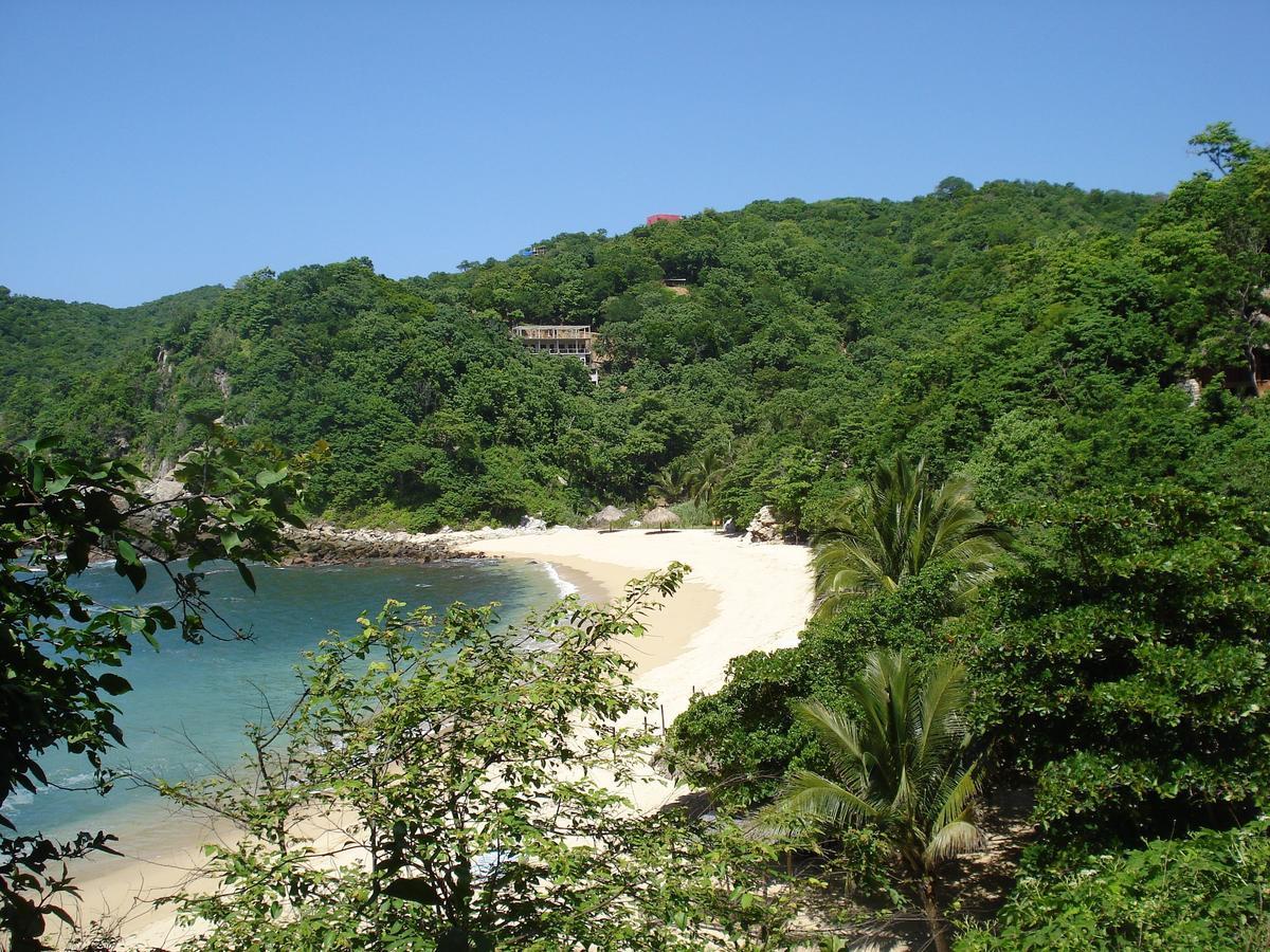 Отель Casa Luna Playa Пуэрто-Анхель Экстерьер фото